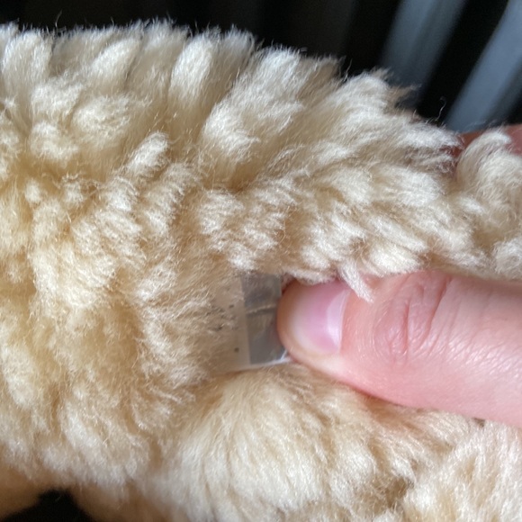 Tall Chestnut Bailey Button Uggs - Picture 10 of 10